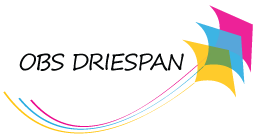 OBS Driespan logo